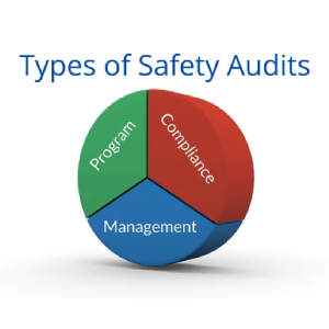 Fire Audit Objectives